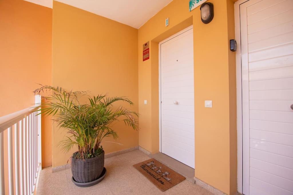Casa Alegre! Apartment